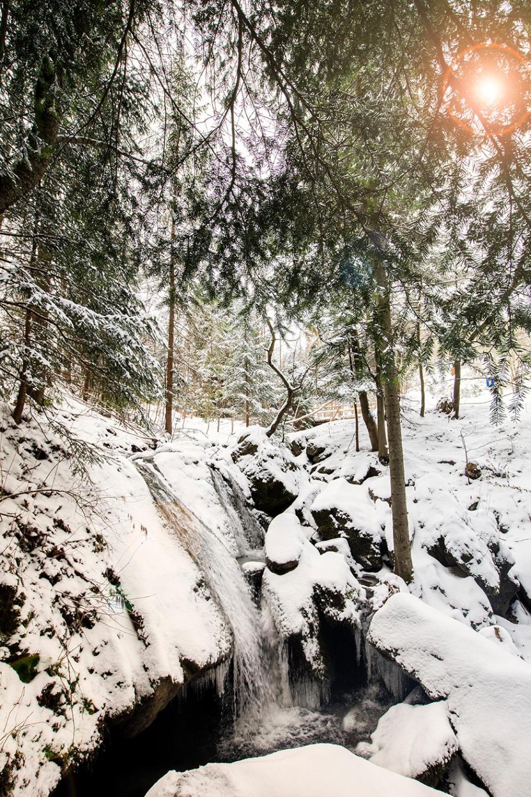 Pyrgielowka- Chata Roztoki Stryszawa Buitenkant foto