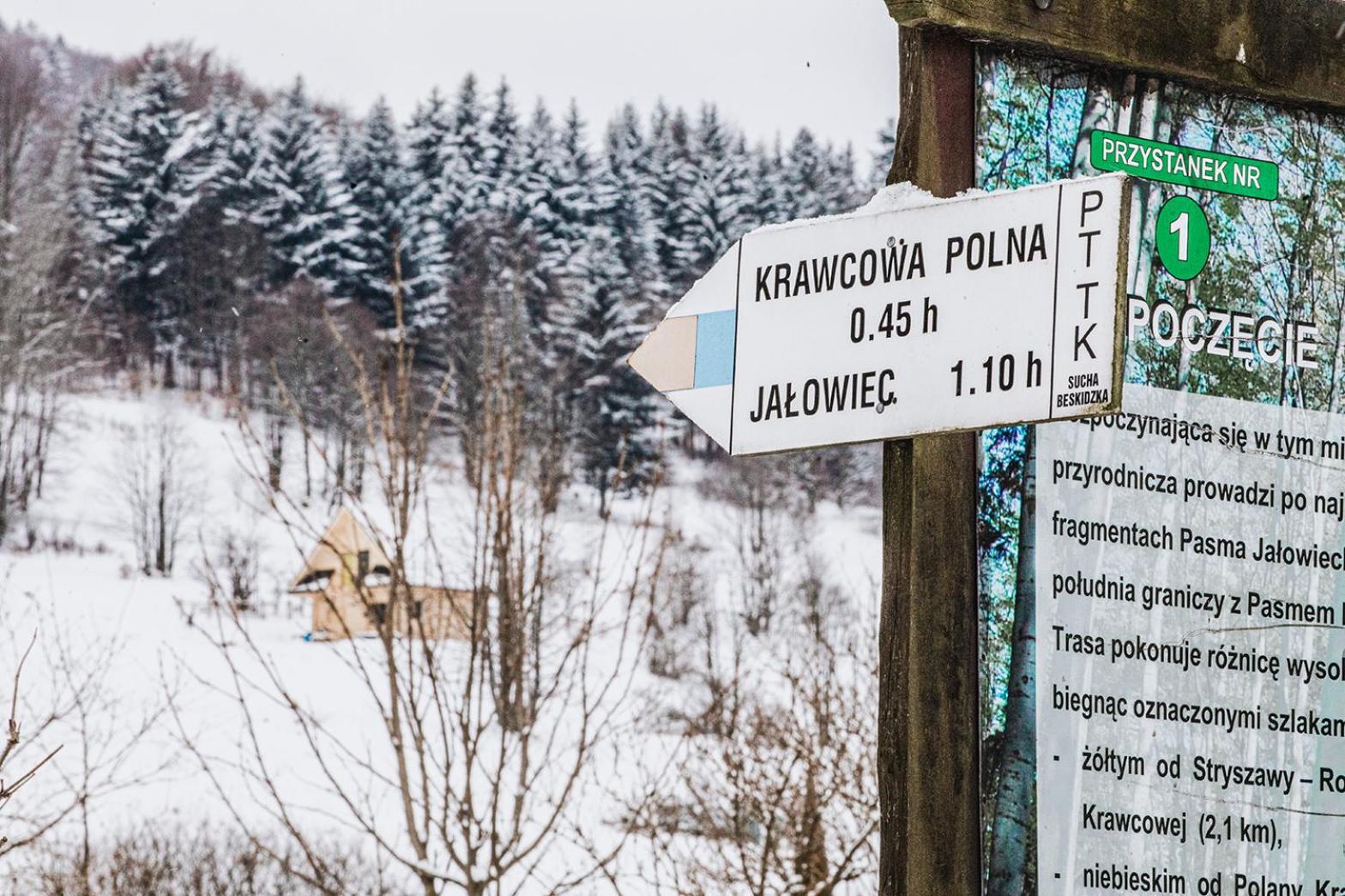 Pyrgielowka- Chata Roztoki Stryszawa Buitenkant foto